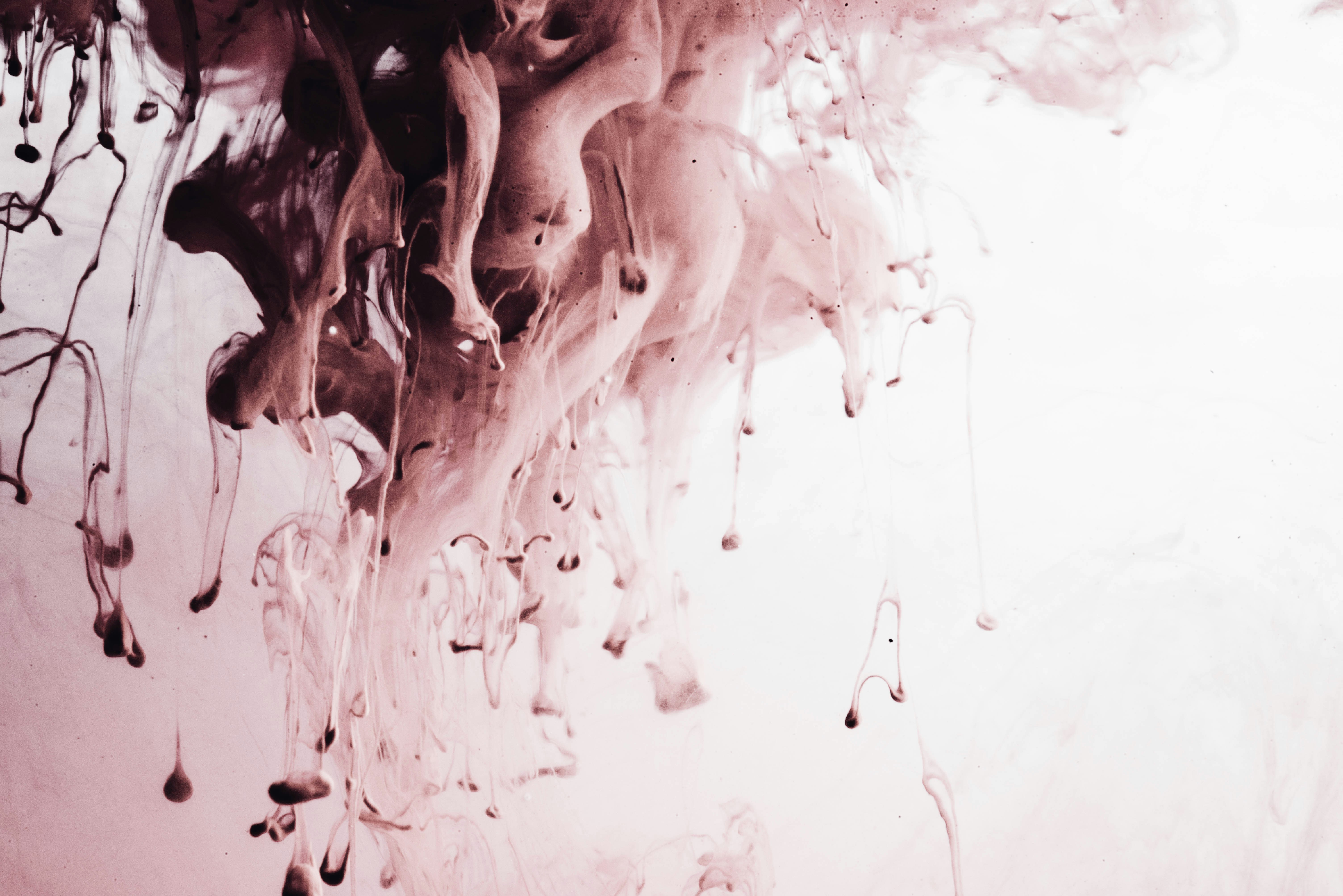 宁波AuT带你领略韩国文化