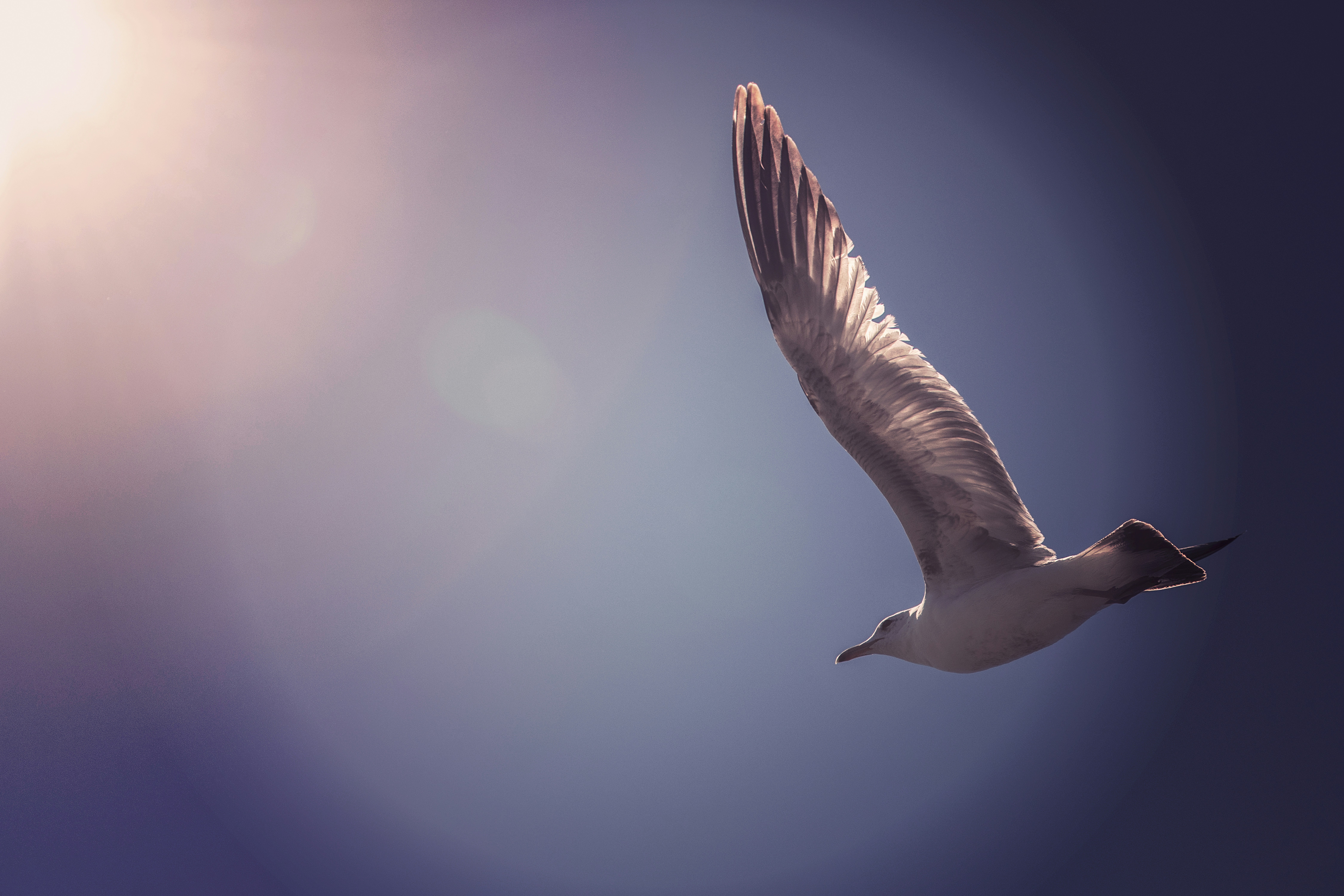 宁波AuT带你领略日本文化