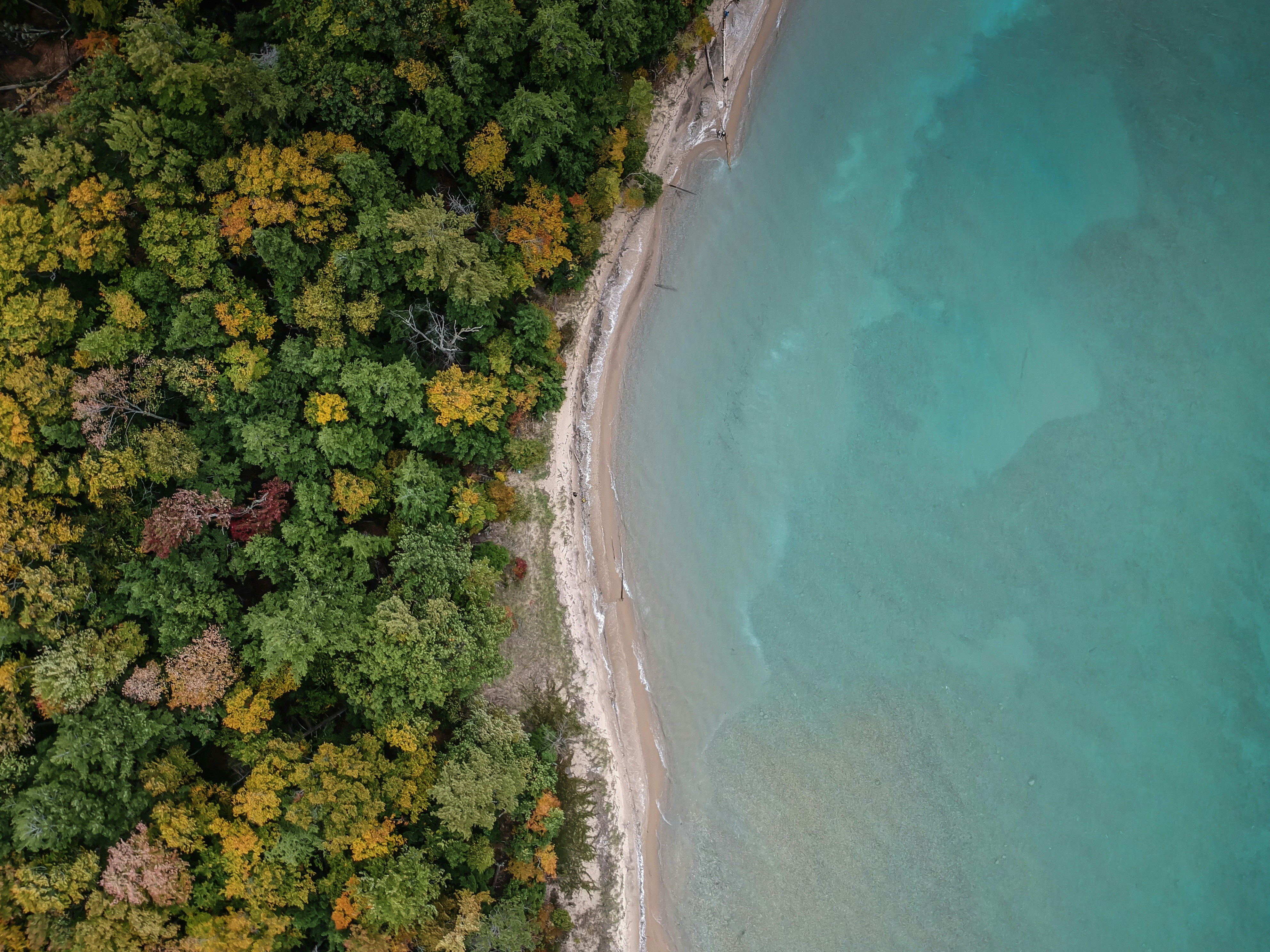 宁波AuT带你学法语